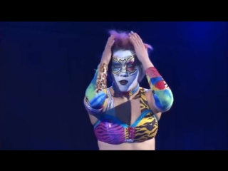 kana vs. meiko satomura (kana pro mania - 25/02/2014)